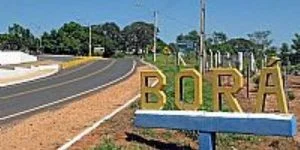 seguro de carro em bora