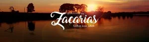 seguro de carro em zacarias