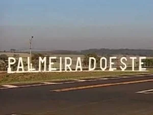 seguro de carro em Palmeira do Oeste