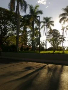 seguro de carro em Paraiso