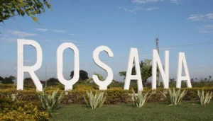 seguro de carro em  Rosana
