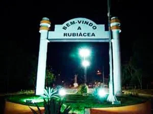 seguro de carro em Rubiácea