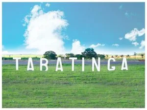 seguro de carro em Tabatinga